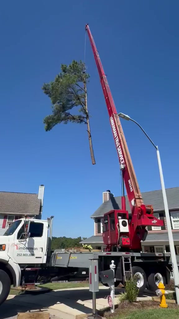 Crane tree removal lifting a tree section above a residential street in Raleigh, NC