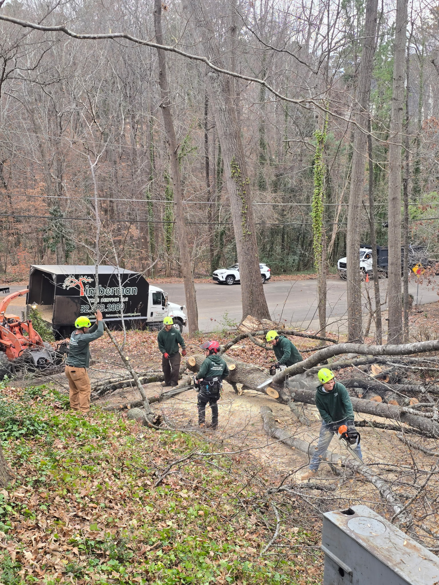 Timberman crew cutting up a large downed tree during cleanup in Raleigh, NC