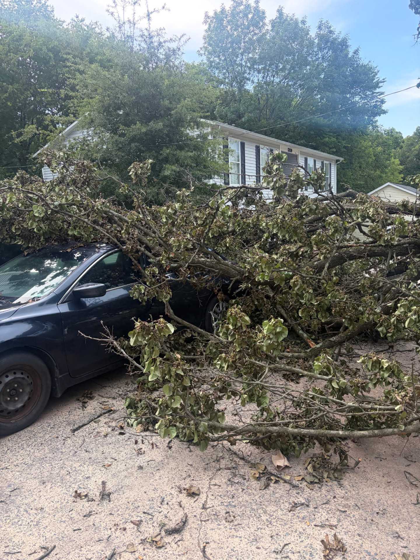 Emergency tree removal of a storm-toppled tree on a car and driveway in Raleigh, NC
